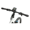 Wholesale 26" Color Customized High Quality Adult Electric Bicycle